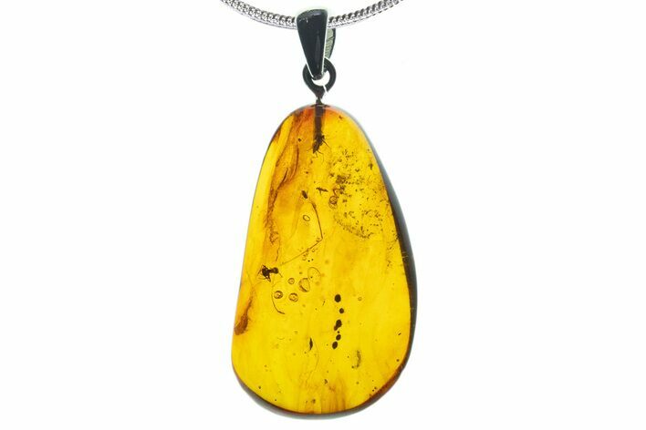 Polished Baltic Amber Pendant (Necklace) - Contains Flies & Ant! #339482